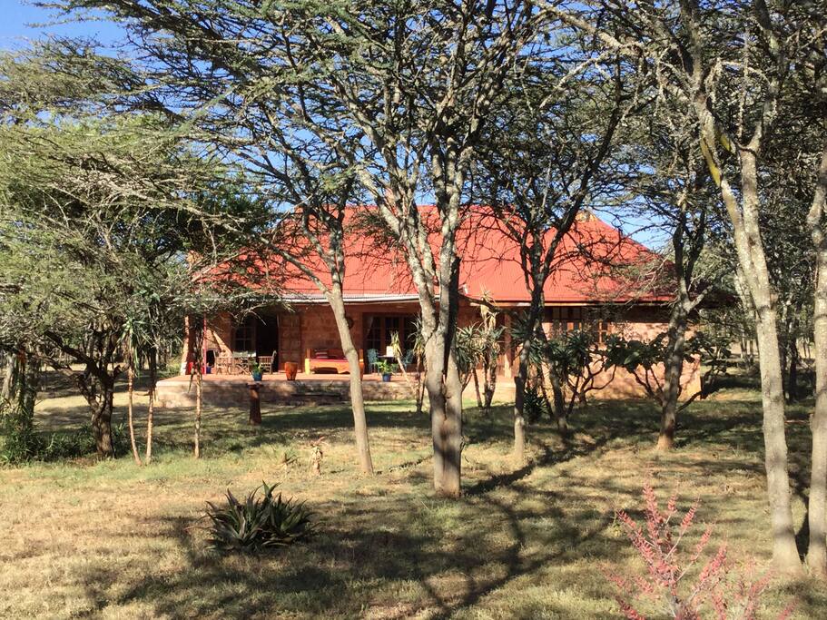 Verandah and Garden