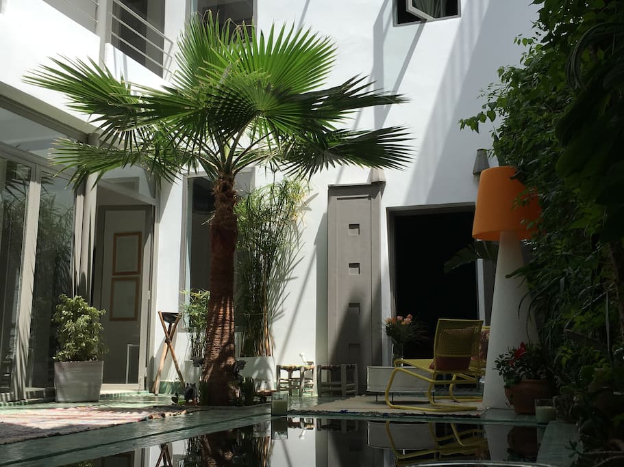 Patio, écrin de verdure