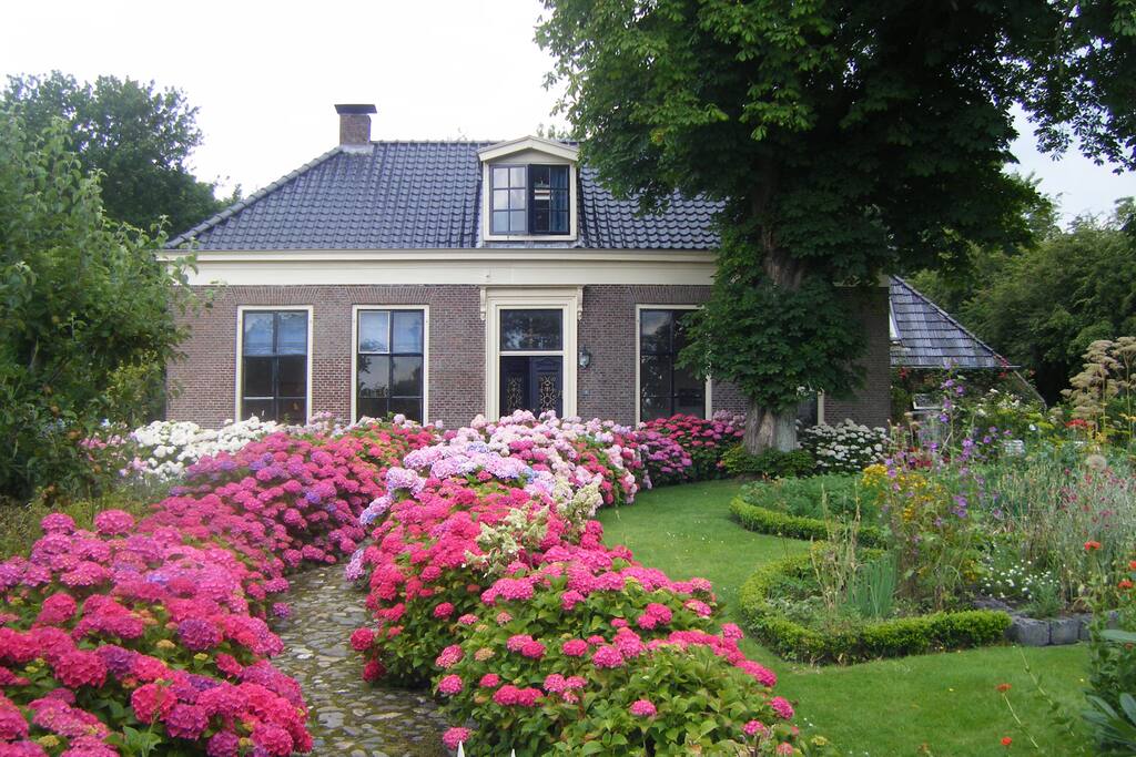 Vooraanzicht aan het wandelpad met hortensia oprit
