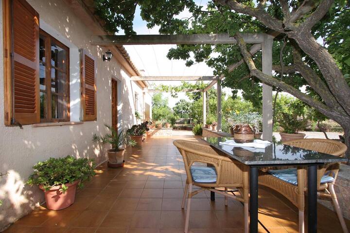 Fontxica gallery image 4