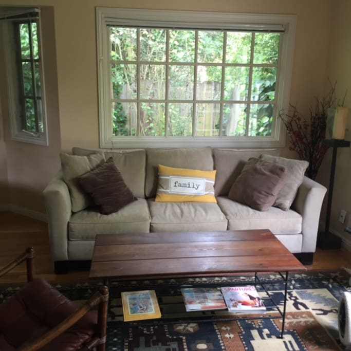 Lving room with pull out sofa