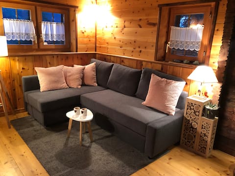 Popular Airbnb listing: Beautiful old wood chalet in the heart of nature. in Evolène