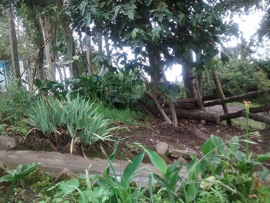 Ésta es la entrada vista desde el jardín