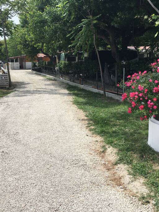 Ingresso camping