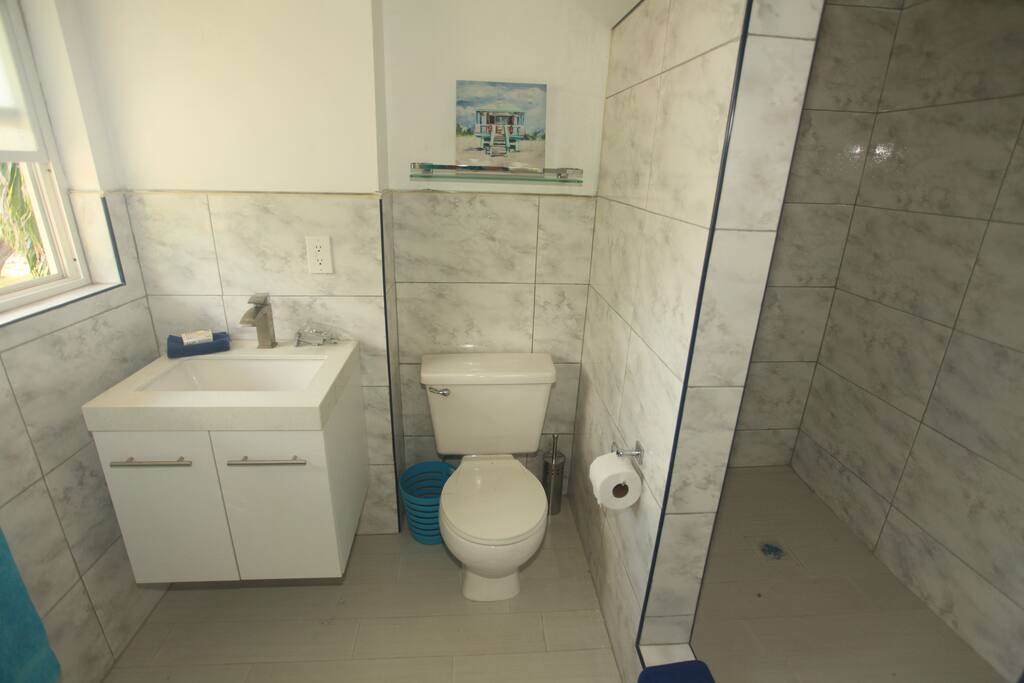 HE EN-SUITE BATHROOM EVERYTHING IN IT IS BRAND NEW