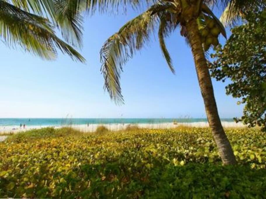 beautiful beach access across the street