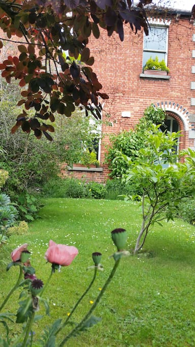 Front garden