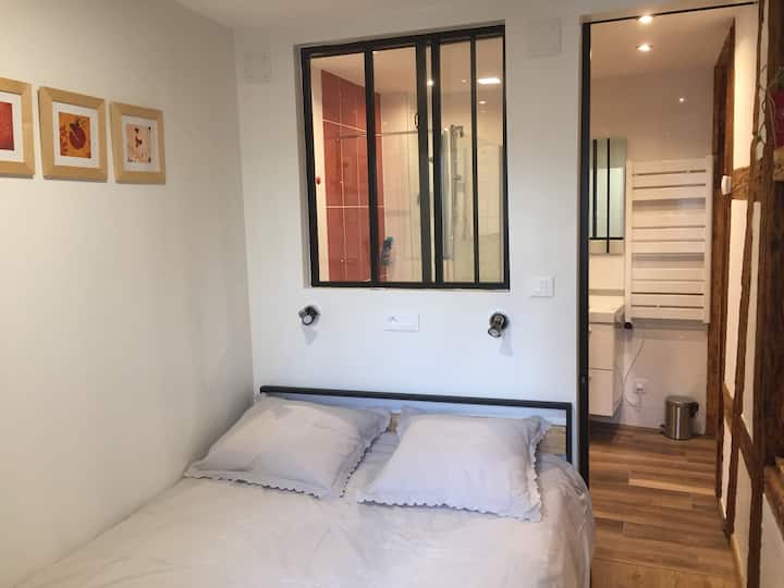 Studio 27 m2 quiet Petite France Apartments for Rent in Strasbourg
