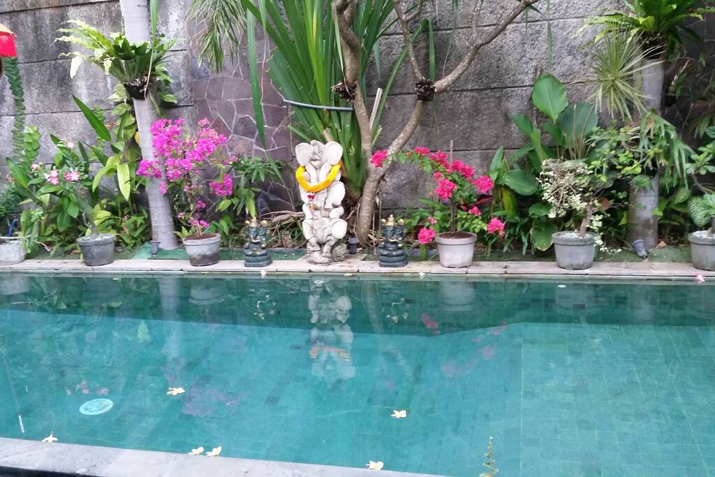 Swimming pool and garden