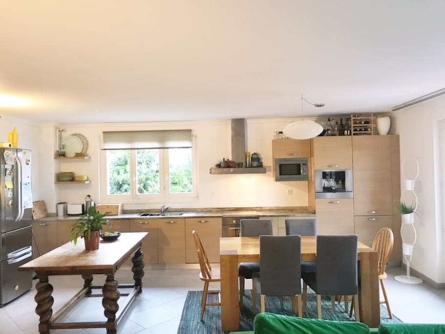 Large open plan kitchen-dining-living room