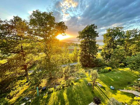House with a view