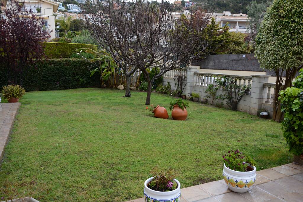 garden