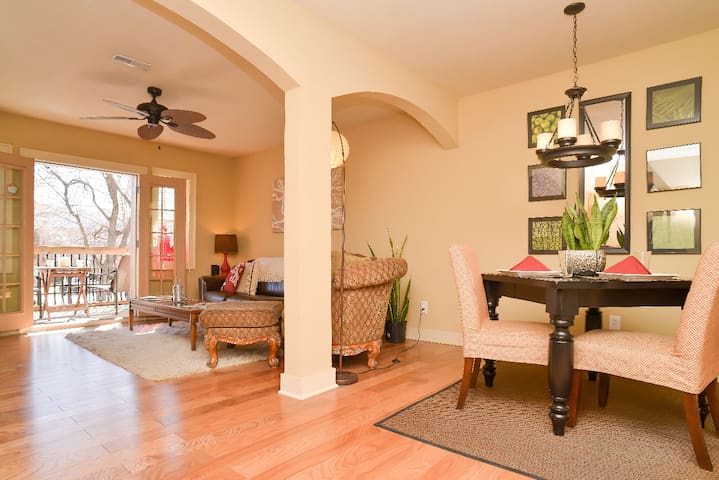 Beautiful Plaza Condo 1