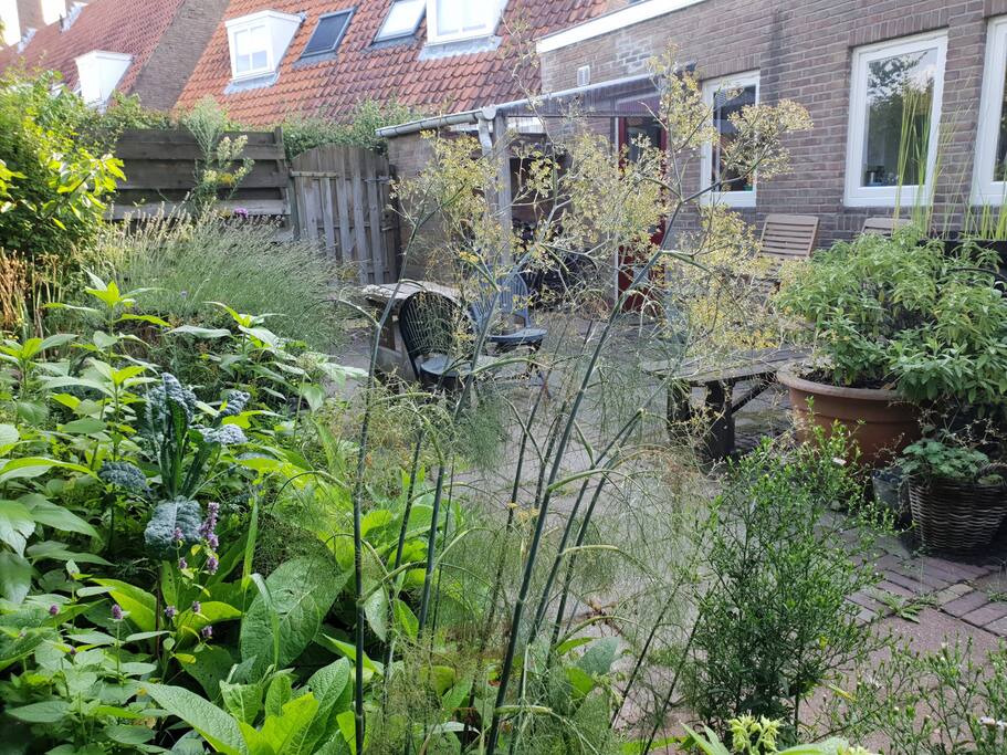 Eigen ingang door de kruidentuin