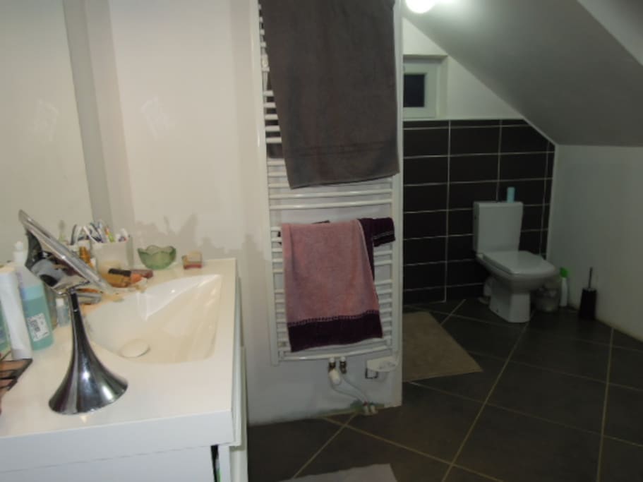 la salle de bains avec douche italienne