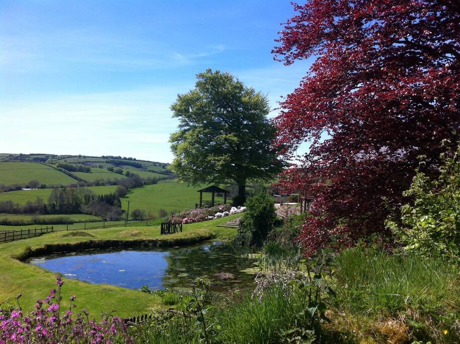There are glorious views of Exmoor