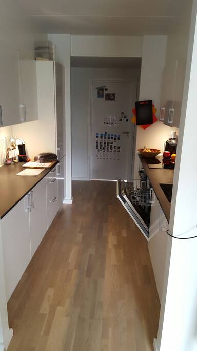 the kitchen complete with oven, dishwasher, freezer and fridge