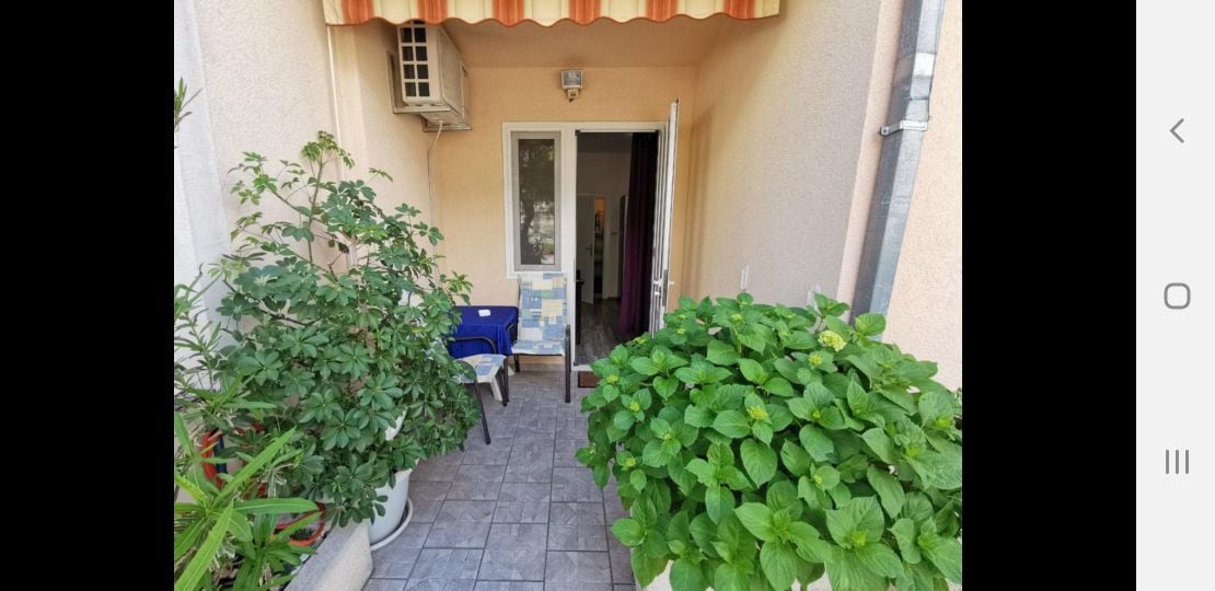 A covered terrace features a tiled floor and is surrounded by lush green plants in large pots. A blue chair is positioned to one side, with sunlight filtering through the entrance door that leads indoors.