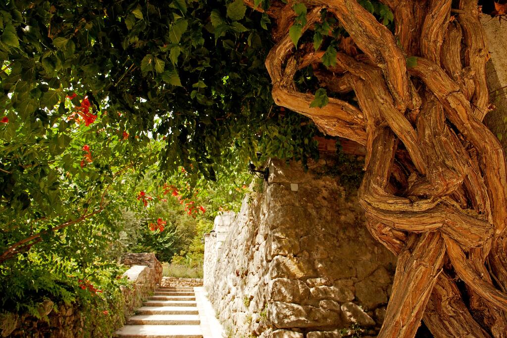 En route vers la chambre, en passant sous notre bignone...