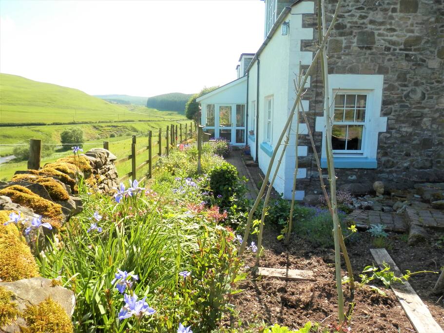 Guests Garden
