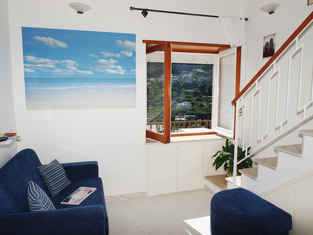 Proprietà Airbnb di successo: Capri - Casa Chiara a Capri