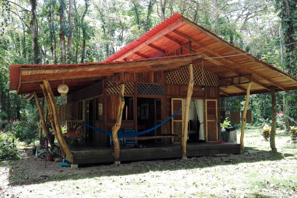 Jungle Cabin