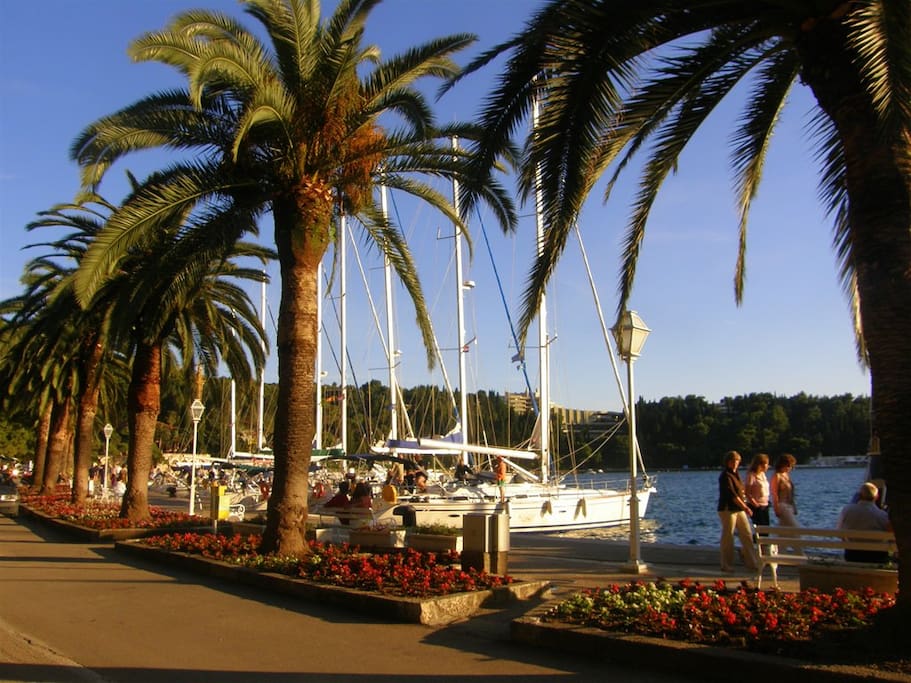 maritime walk way