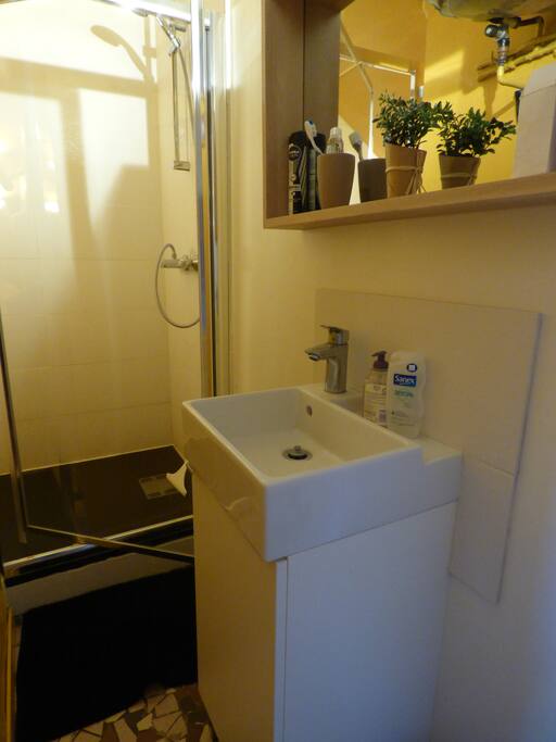 Salle de bain avec douche