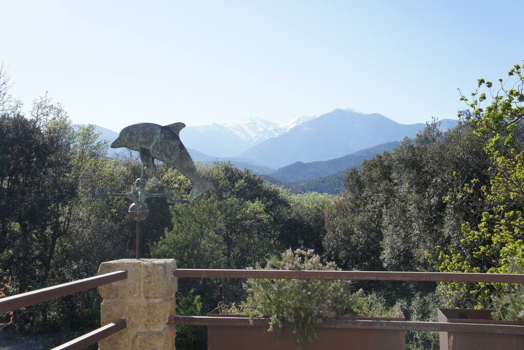 vue de la terrasse