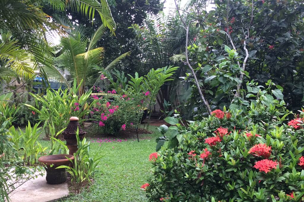Teilansicht Garten