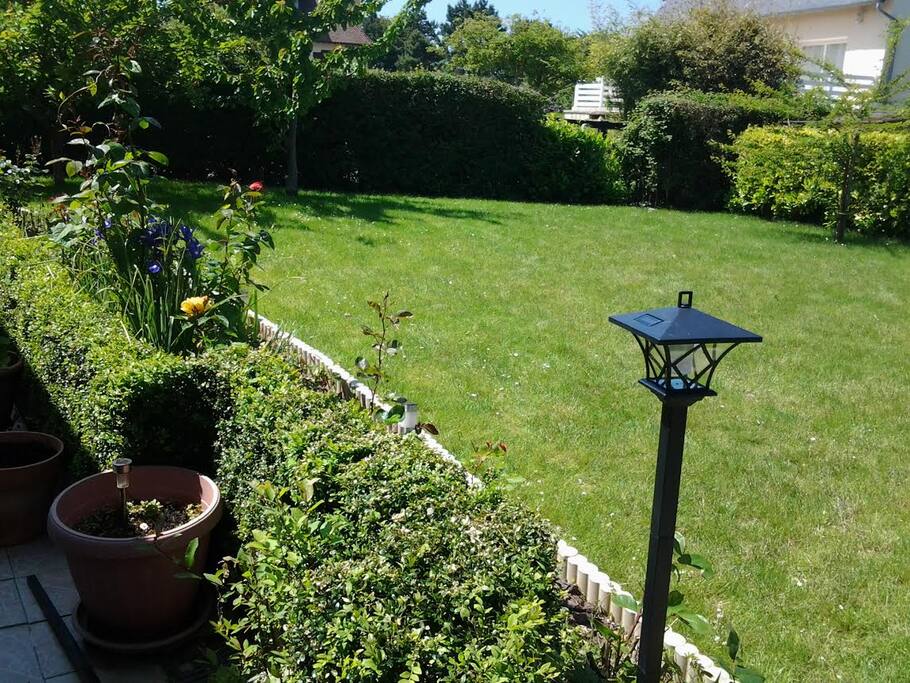 jardin