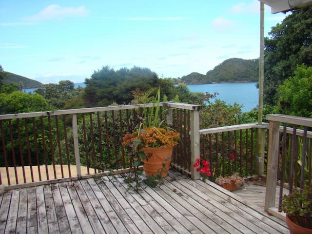 Starry Nights in tranquil Whangaparapara