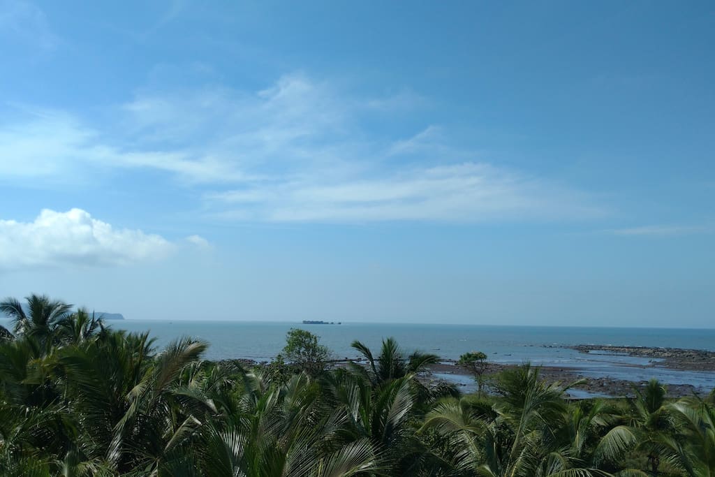 View from the terrace