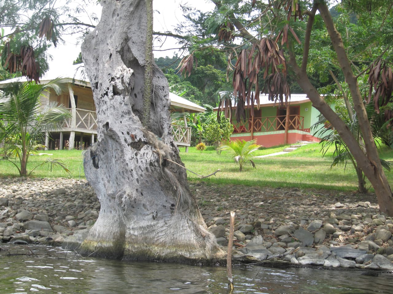 Cocoa Village Big Bungalow Rumah Tamu Untuk Disewakan Di Kumasi Cocoa Village Big Bungalow Rumah Tamu Untuk Disewakan Di Kumasi