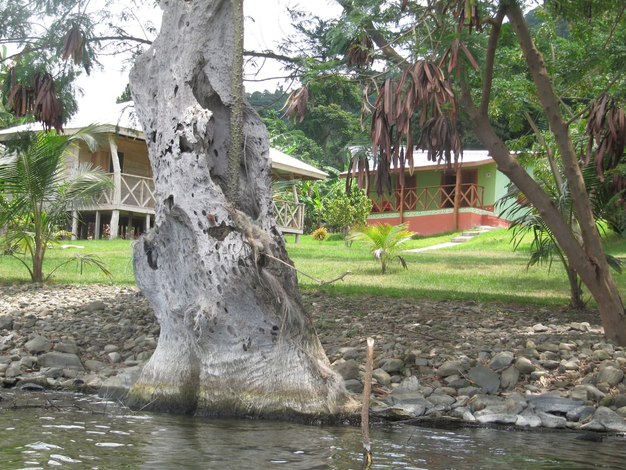 Cocoa Village Big Bungalow Rumah Tamu Untuk Disewakan Di Kumasi