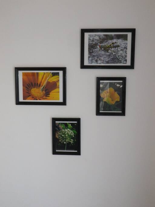 Pictures