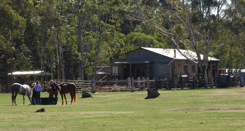 Wongaburra Woolshed