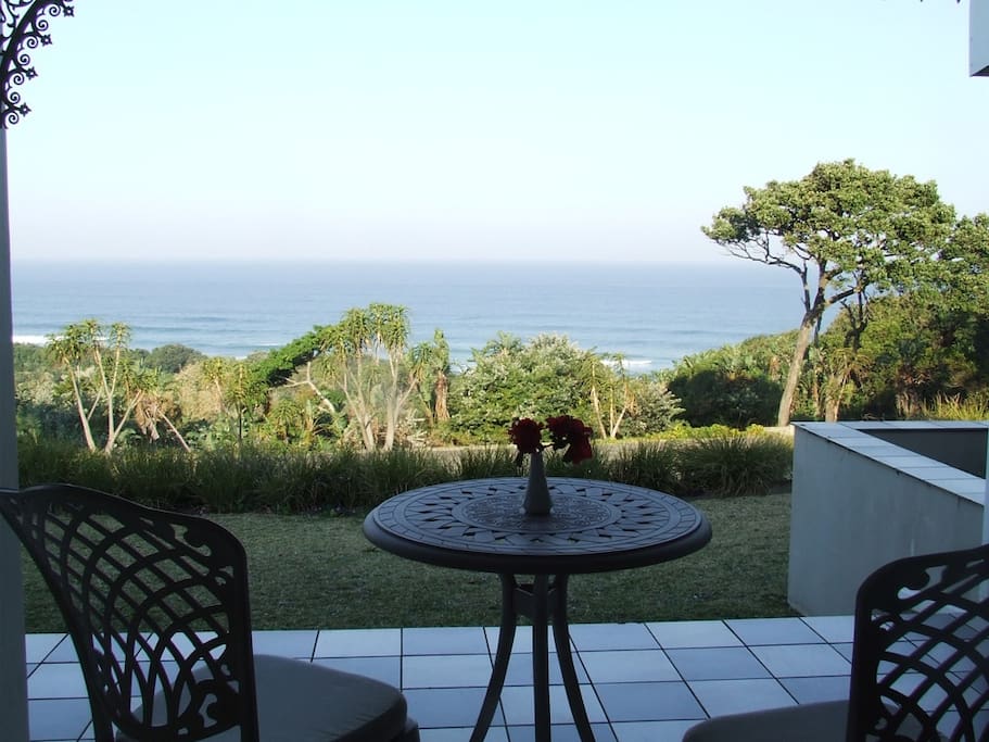 View from Dolphin room patio