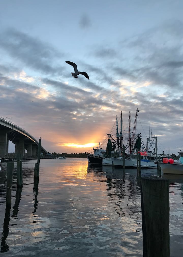 New Smyrna Beach PetFriendly Vacation Rentals Florida, United States