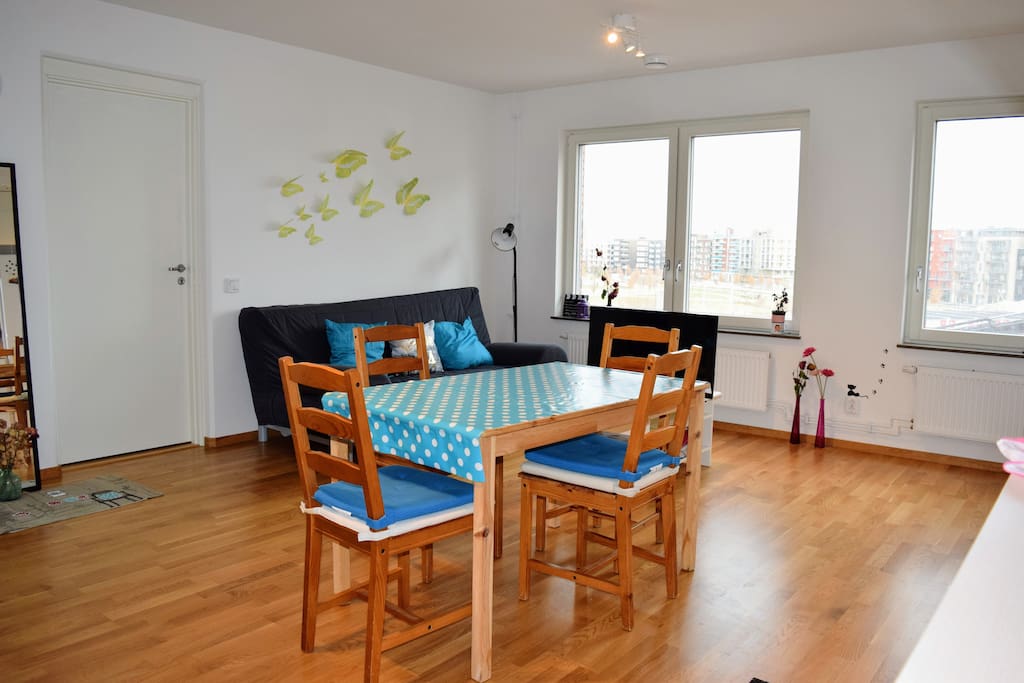 Large kitchen/living room. Sofa bed in the background