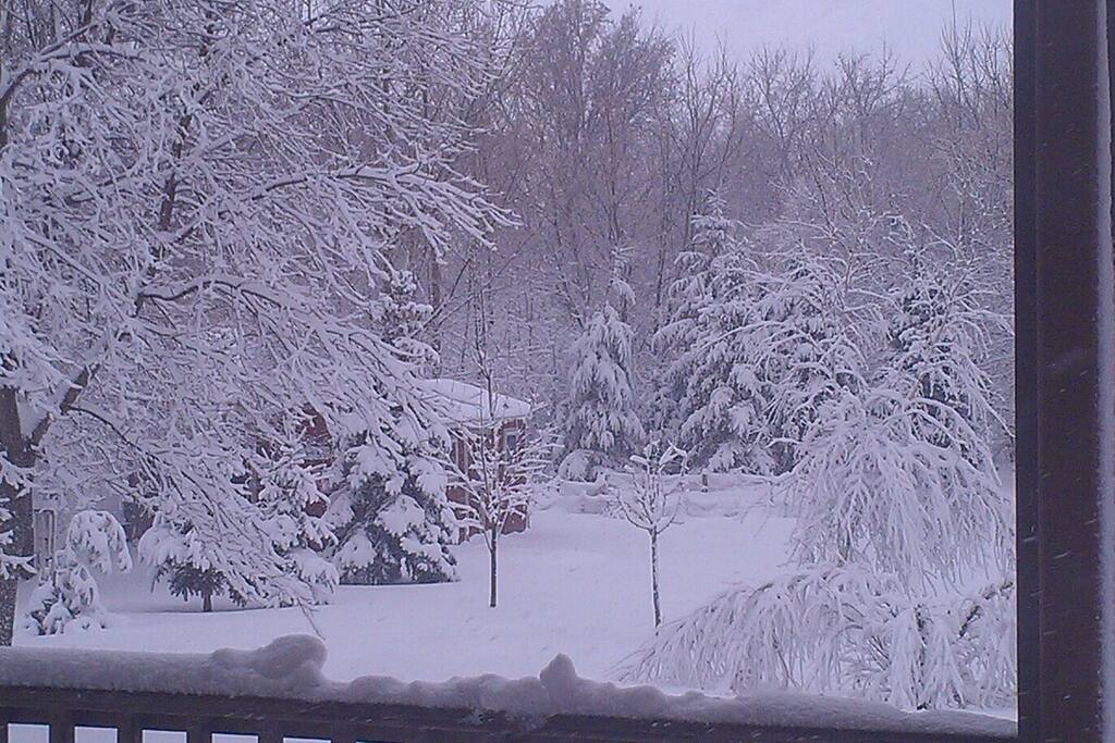 Winter wonderland!