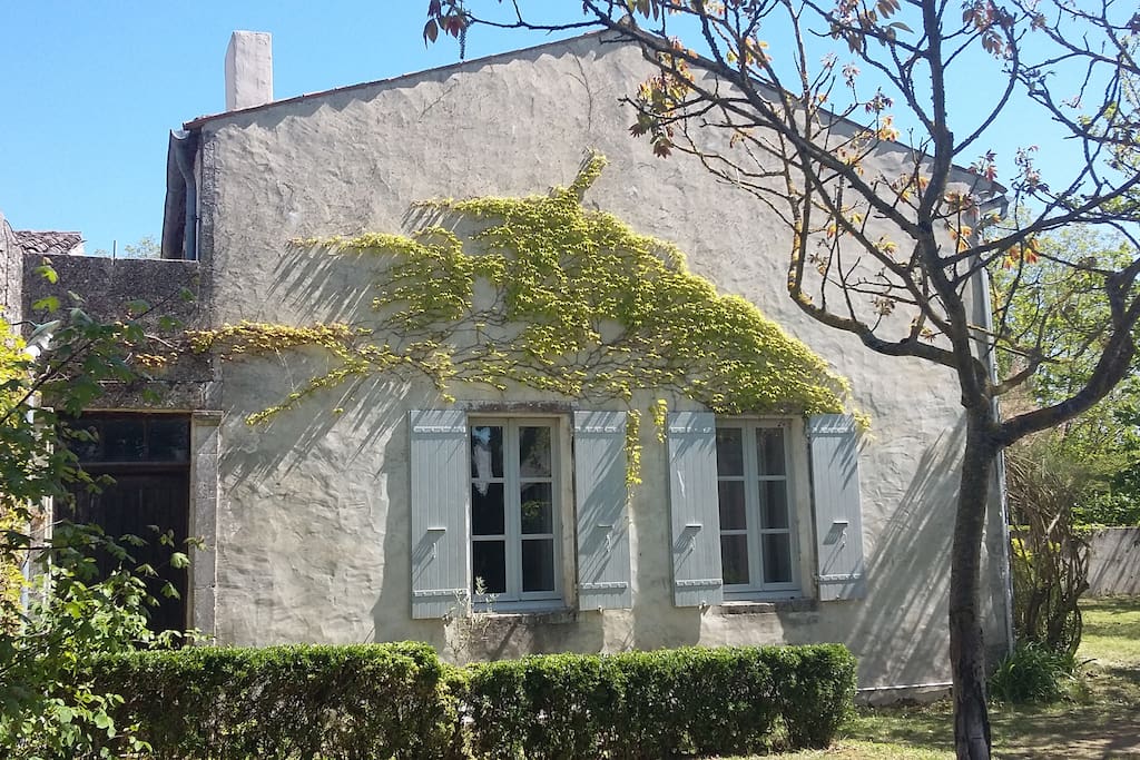 Côté cour