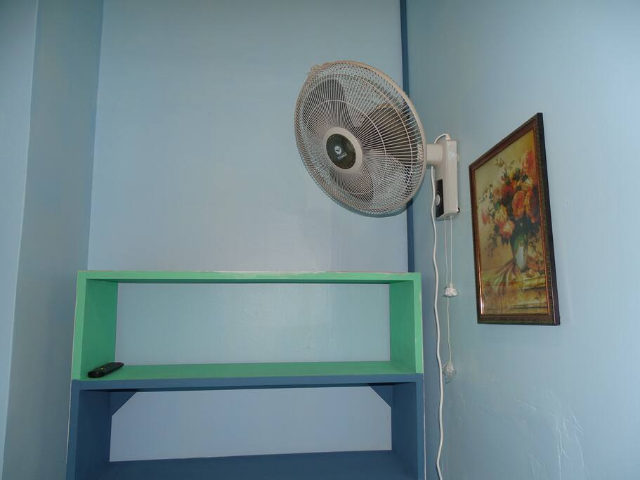 Fan/ Abanico