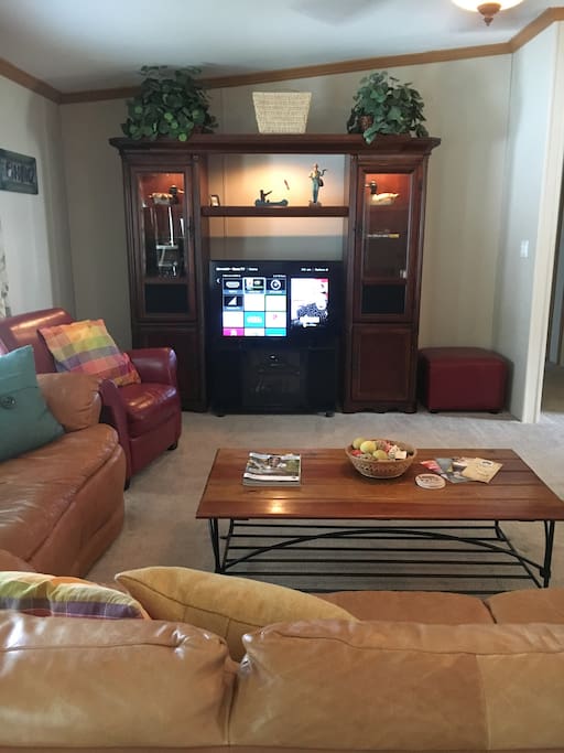 Smart TV with Roku, DVD player and cable