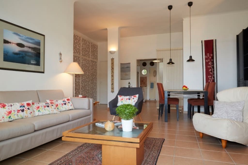 Living / Dining area