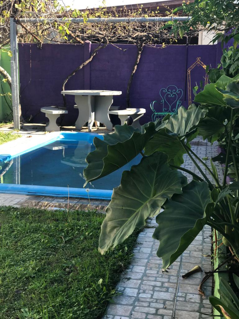 A private outdoor space features a shimmering pool surrounded by green grass and lush plants. A circular table and two chairs, set against a vivid purple wall, provide a cozy area for relaxation. The scene is framed by vibrant foliage, enhancing the tranquil atmosphere.