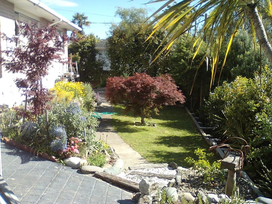 Dog friendly lawn.