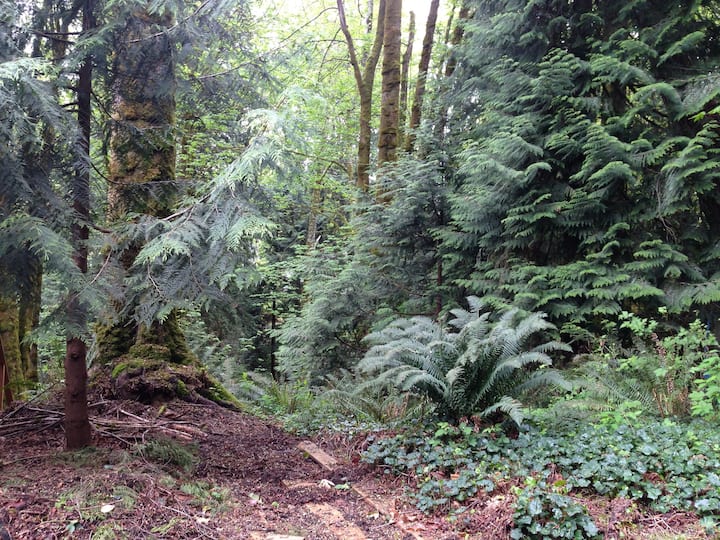 Gravelly Beach Holiday Rentals & Homes Washington, United States Airbnb