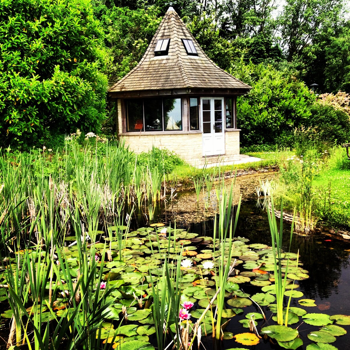 A unique cabin with a conical roof is situated near a serene pond, surrounded by lush greenery. The structure features large windows allowing for natural light, while lily pads and blooming flowers float on the water's surface, enhancing the tranquil atmosphere.