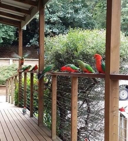 Wattletree Cottage gallery image 5